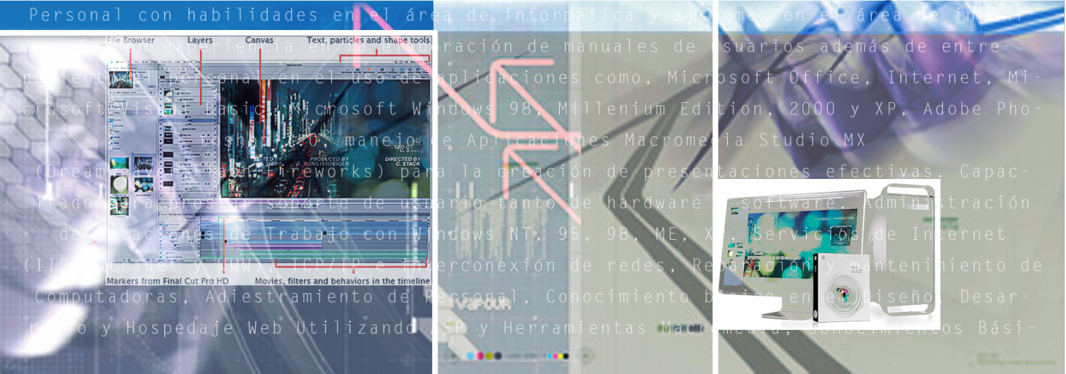 Victor Teppa Front End Web Developer - Professional Resume